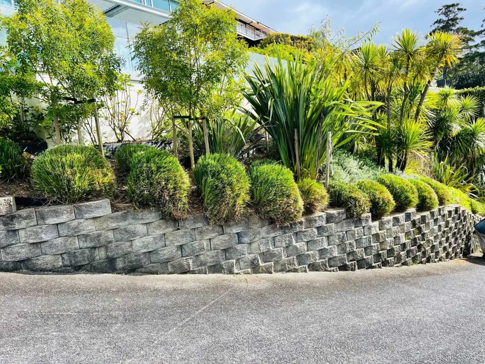 Neatly shaped shrubs above a stone retaining wall in a maintained Remuera garden, Auckland