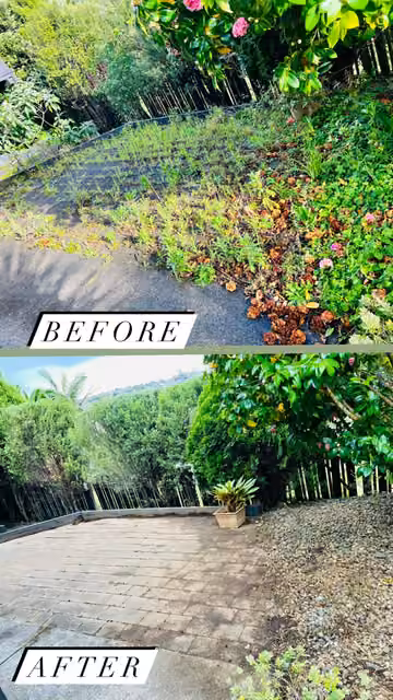 Before and after photos of an overgrown garden border tidied