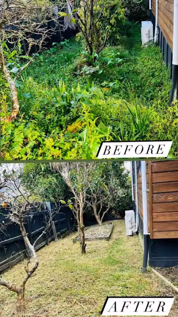 Before and after photos showing an overgrown garden path cleared