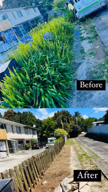 Before and after photos of garden steps and nearby planting tidied