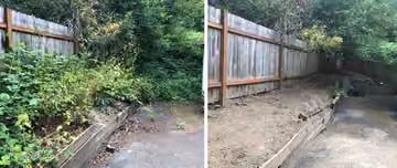 Before and after photos of a cleared garden bed