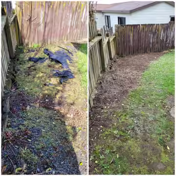 Customer before and after photos of garden clearance along a fence