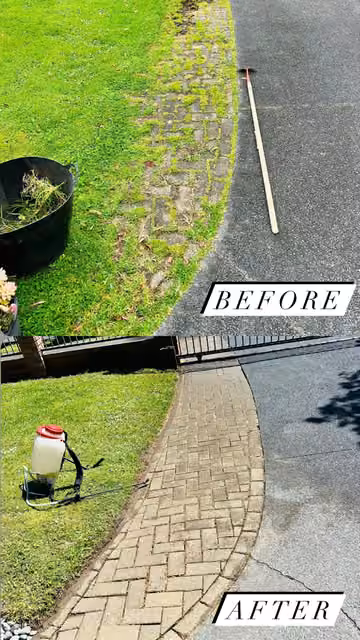 Before and after photos of paving cleared and cleaned