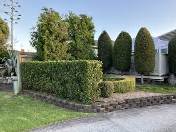 Customer photo of rounded and shaped garden topiary