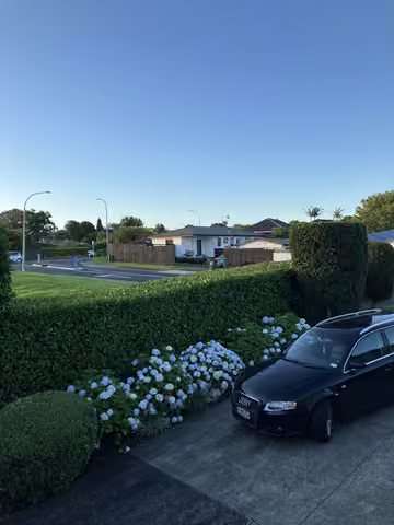 Customer photo of a trimmed hedge and planting along a driveway