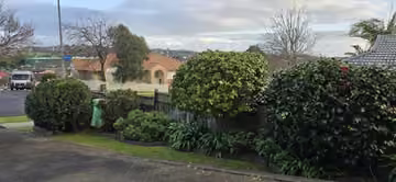 Customer photo of trimmed front garden hedges