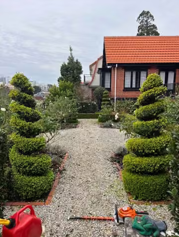 Sculpted green hedges lining a gravel garden path in North Shore