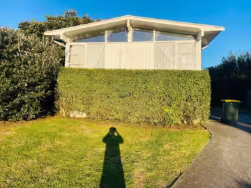 Neatly trimmed boundary hedge beside a lawn in Mount Roskill