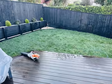 Green backyard lawn beside a wooden deck