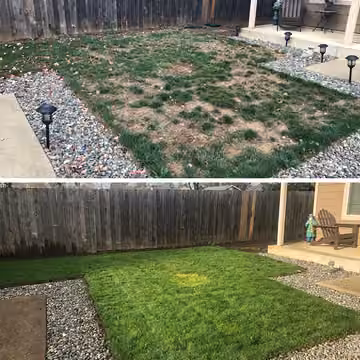 Before and after photos showing a patchy lawn replaced by green grass