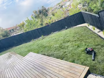Backyard lawn and the edge of a timber deck