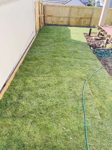 New grass laid beside a house and garden fence