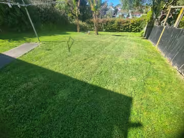 Freshly mown lawn in a Ponsonby garden