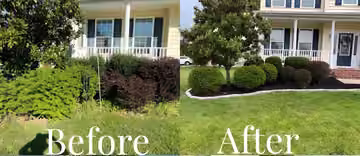 Before and after photos of trimmed garden shrubs