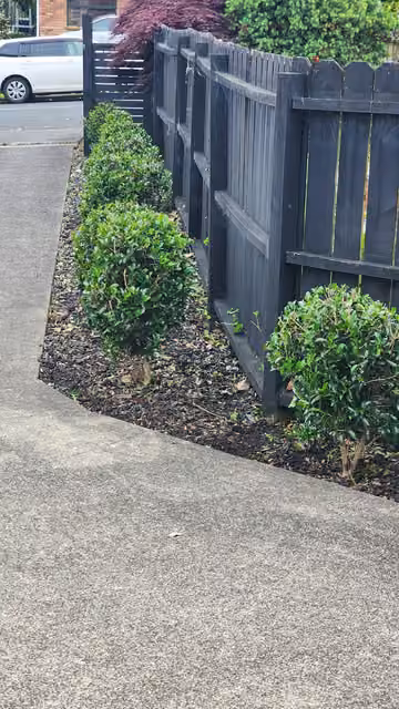Customer photo of shaped planting beside a driveway