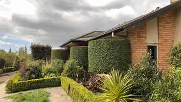 Trimmed shrubs and a maintained front garden in Papakura