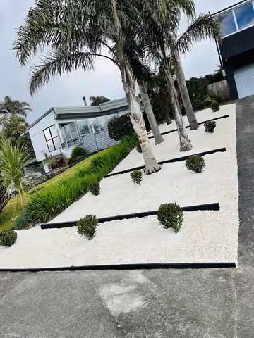 Palm planting and white gravel in a garden courtyard