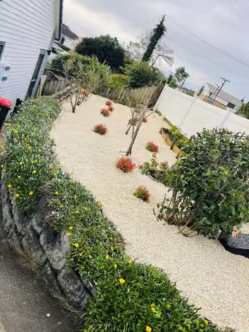 Palm planting and paving in a garden courtyard