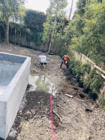 Garden team clearing tree growth beside outdoor steps