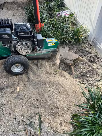 Stump grinding equipment working on a garden tree stump