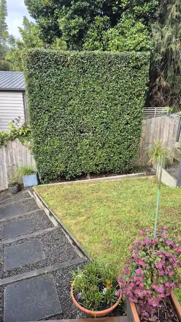 Customer photo of trimmed trees beside garden planting