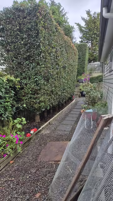 Customer photo of trimmed trees above a garden path